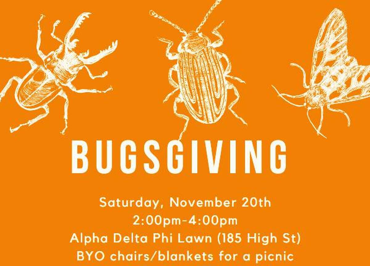 The public is invited to Wesleyan University Saturday for “Bugsgiving,” where insect-based dishes will be served by a chef considered a pioneer in the field.