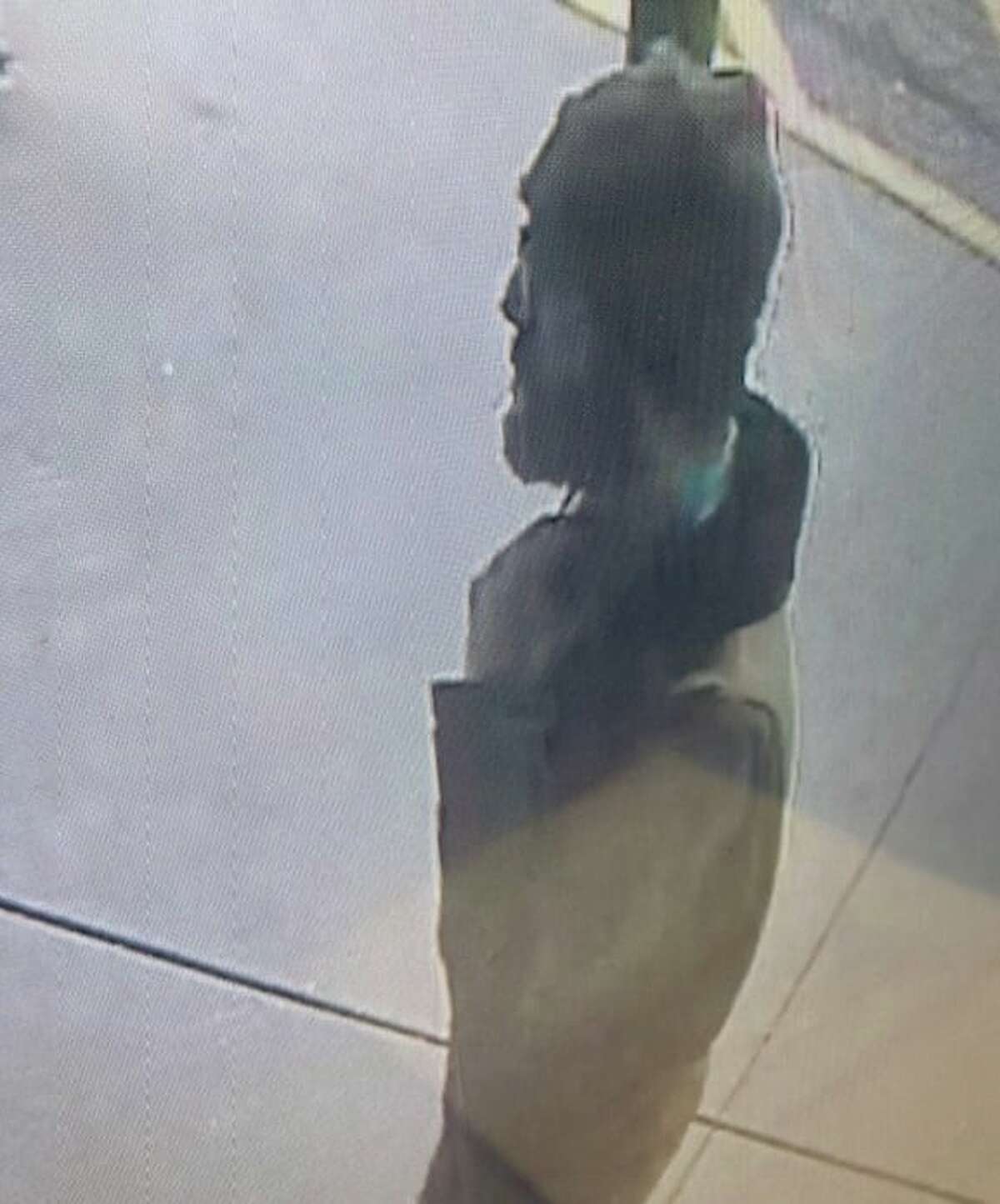 The Mecosta County Sheriff's Office is seeking the public's help in identifying two men who are believed to have stolen $3,000 worth of merchandise from a Big Rapids store.