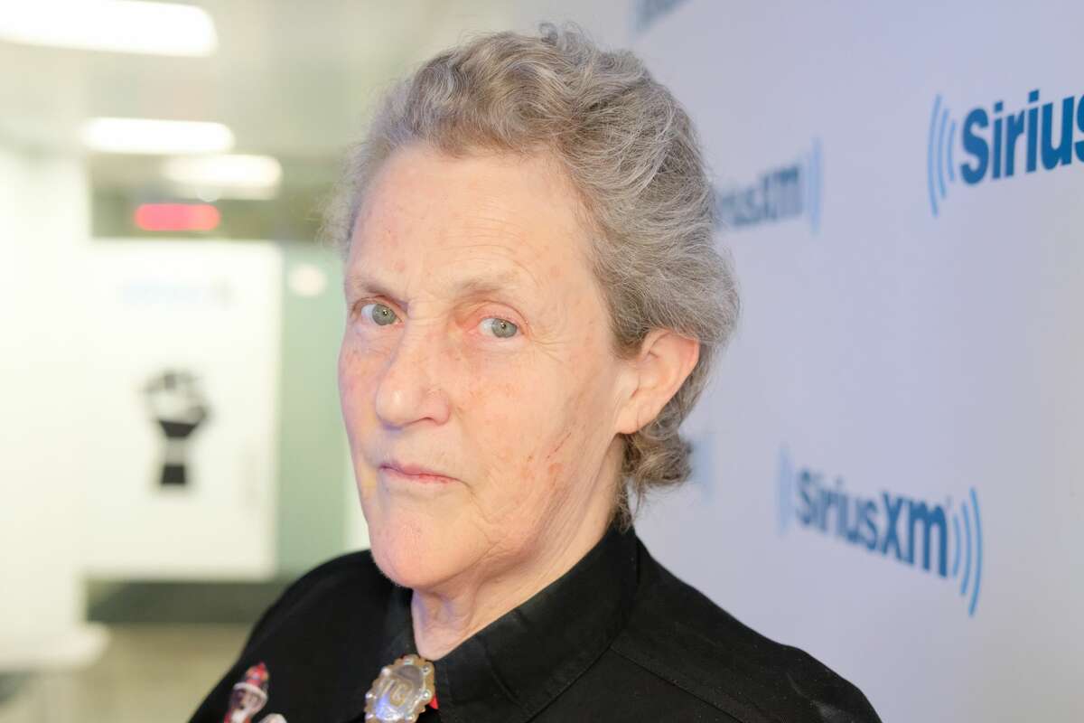 Temple Grandin visits SiriusXM Studios on May 14, 2018 in New York City. Grandin will come to Albany as part of the New York State Writers Institute's fall program on Nov. 23.