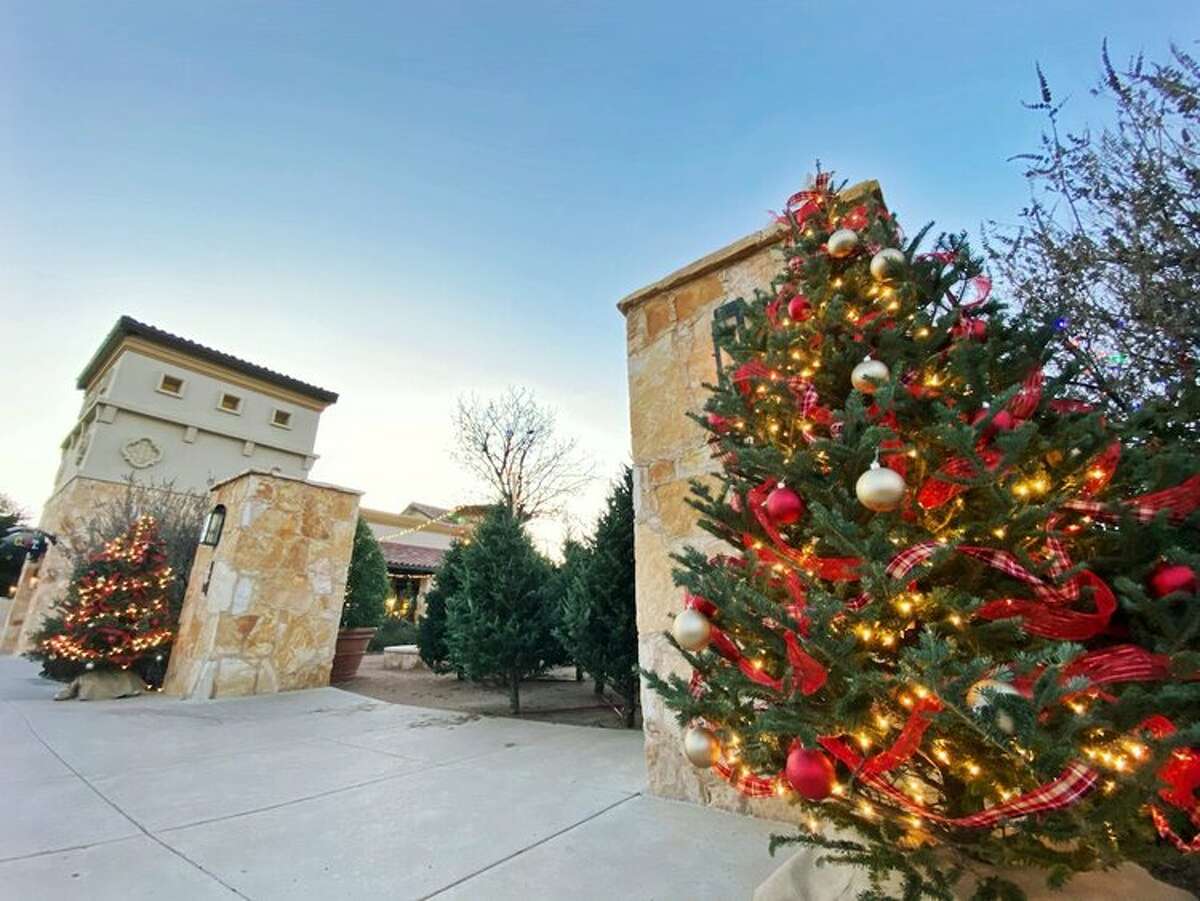 Parks Legado Town Center's annual Christmas Tree Market is returning this year.