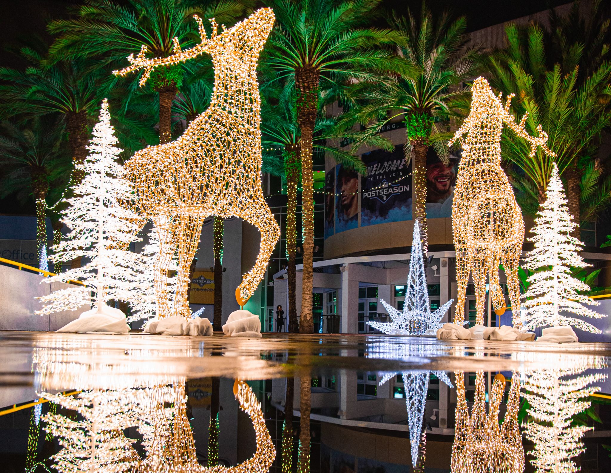 The 4 Best Winter Destinations For Houstonians Seeking Holiday Festivities