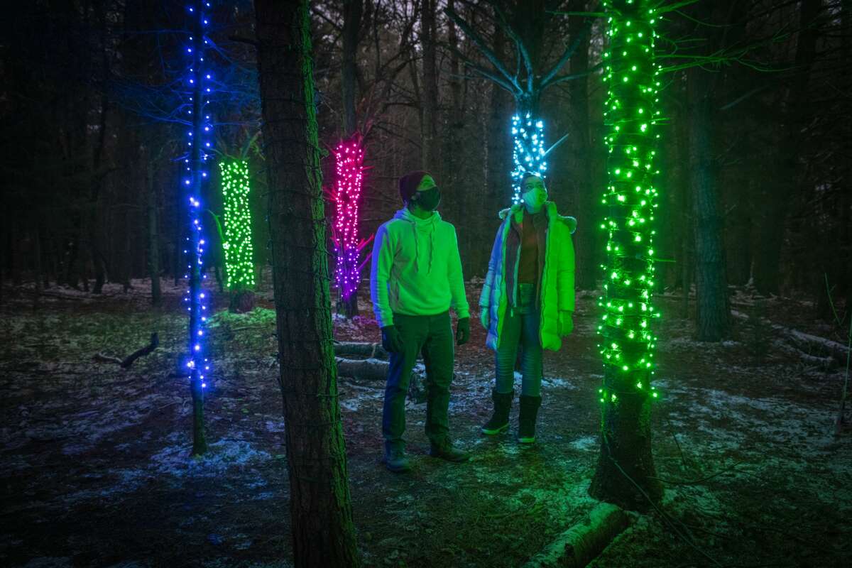 Holiday lights at the Wild Center in Tupper Lake