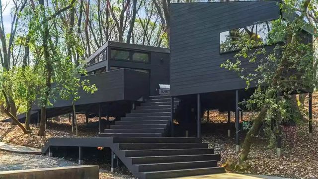 Into the Woods: Forest House in Sonoma County Is Hidden From View - Vimarsana News