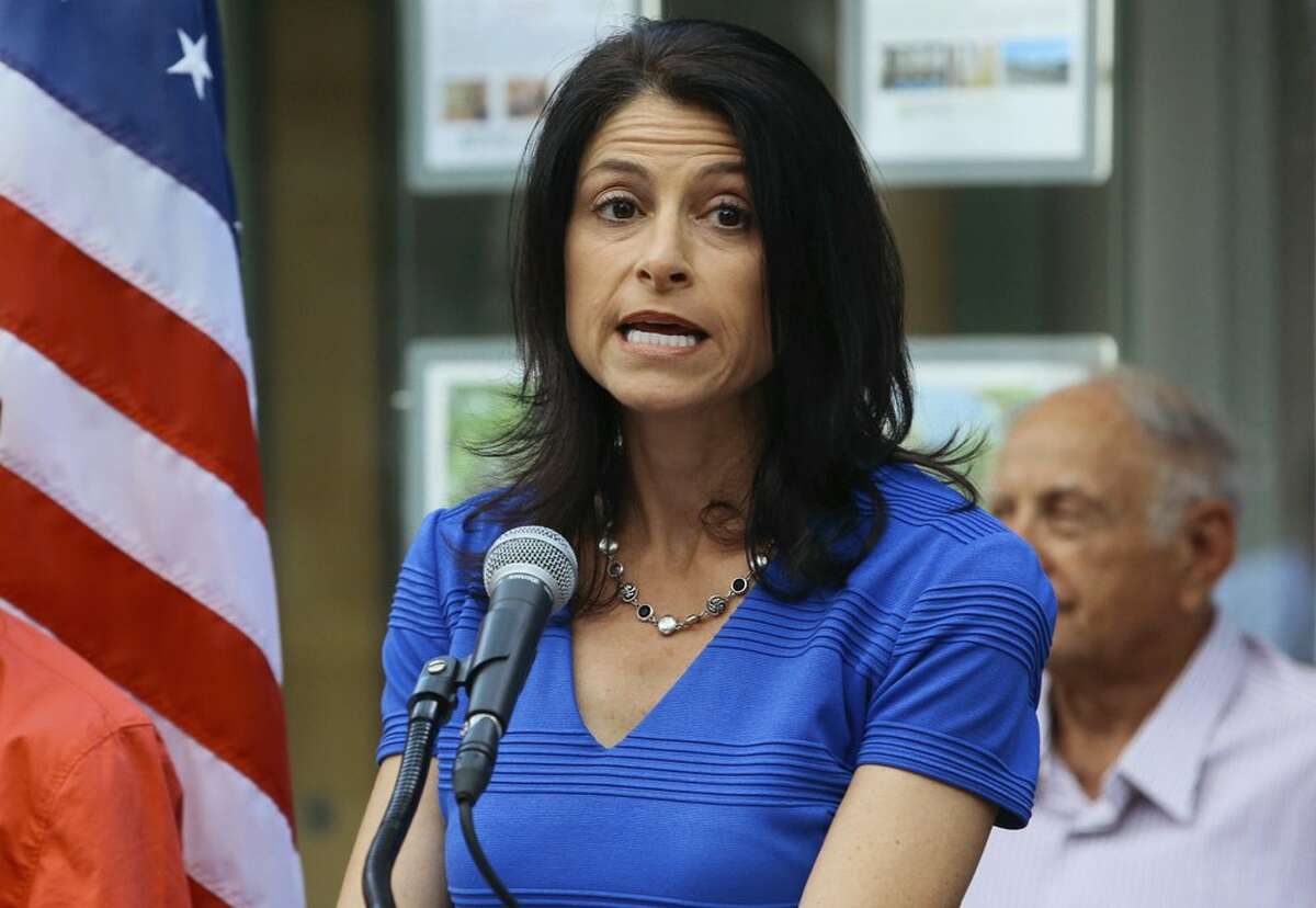 FILE - In this Tuesday, Aug. 15, 2017, file photo, Dana Nessel announces her decision to run for Michigan attorney general, during a news conference at Braun Court in Ann Arbor, Mich.