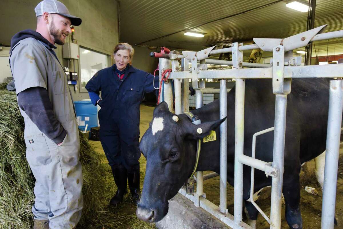 Nate Leland, left, herd manager at Ideal Dairy Farms, talks with H & N Bovine veterinarian Pandora Davis about one of the dairy's cows in the herd health/sort area on Thursday, Nov. 11, 2021, in Hudson Falls, N.Y.