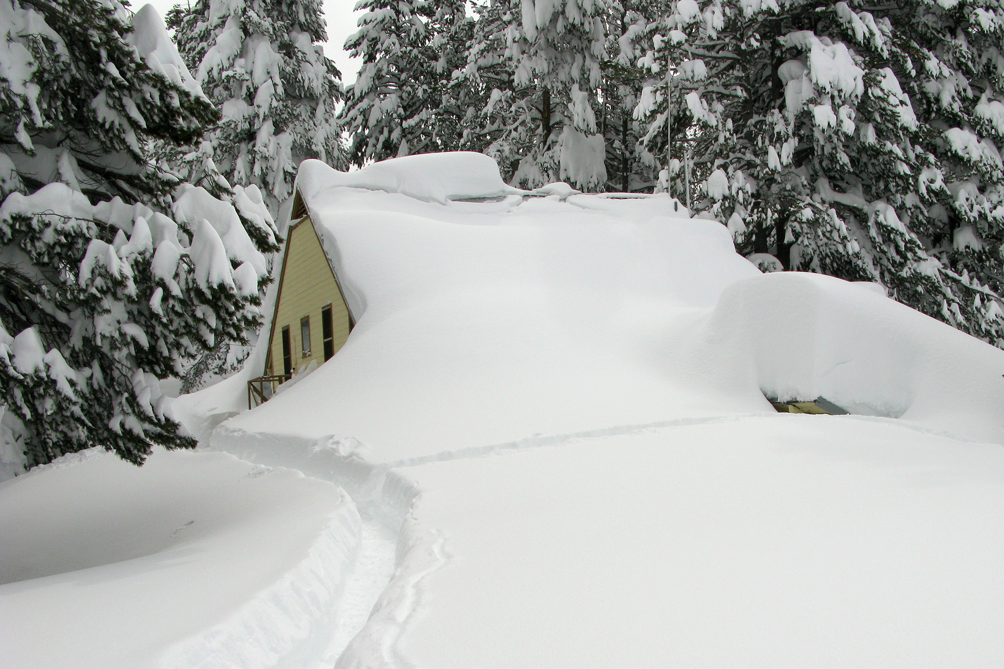 This Spot On Donner Summit Is Key To State S Water Future   RawImage 