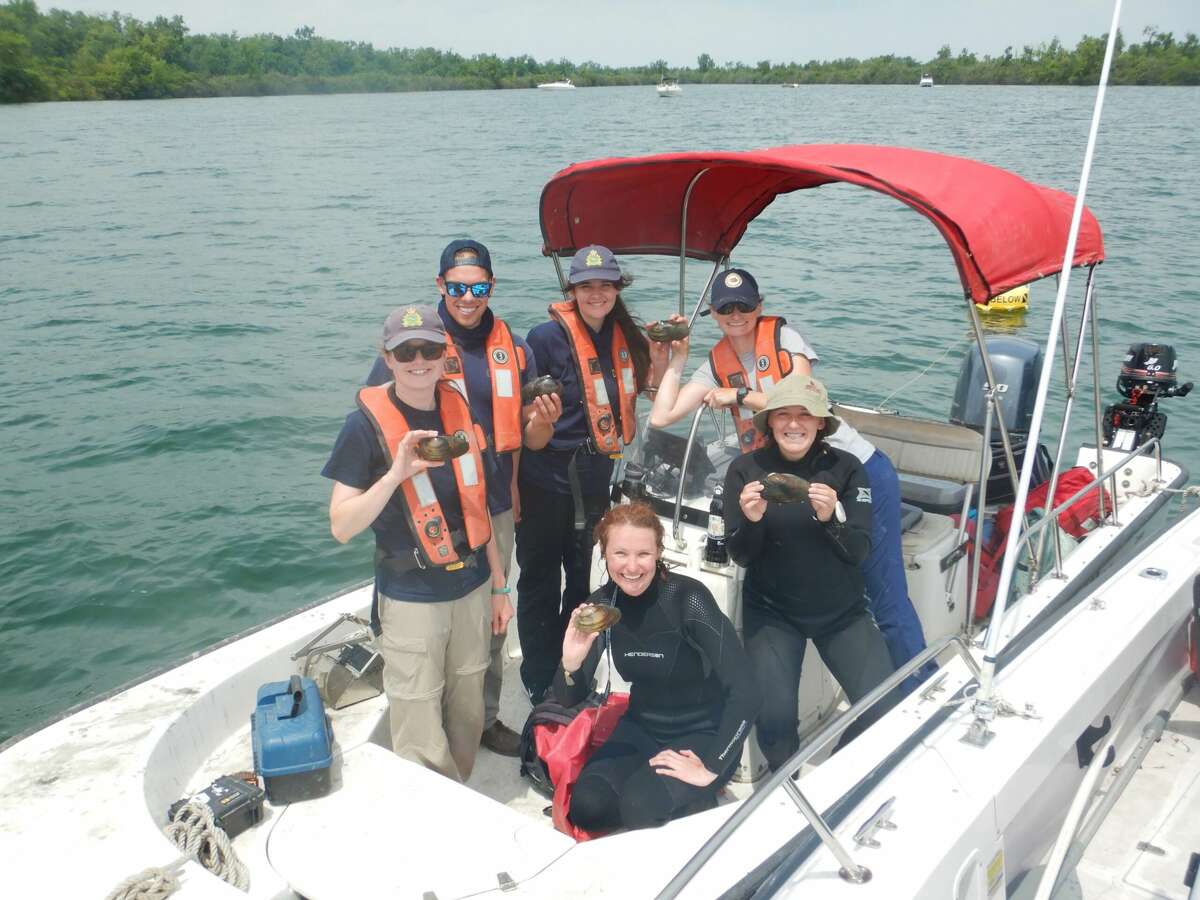 Central Michigan University researchers hold up live native mussels from the Detroit River. 