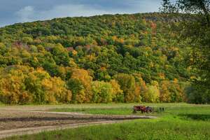 Autumn colors in a variety of trees covering a mountainside above a farm with tractor in the field in Simsbury.