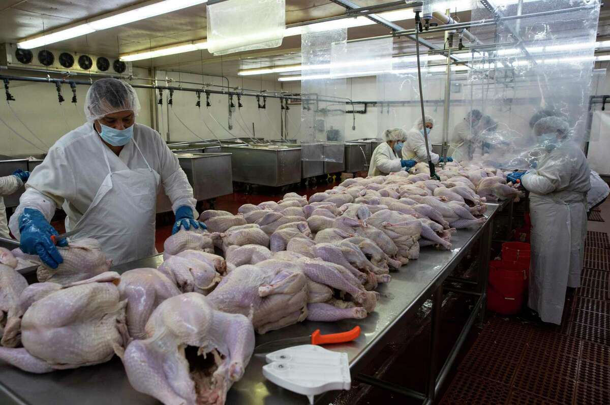 After a fire ruined 87,000 birds last Thanksgiving, Tyler’s Greenberg