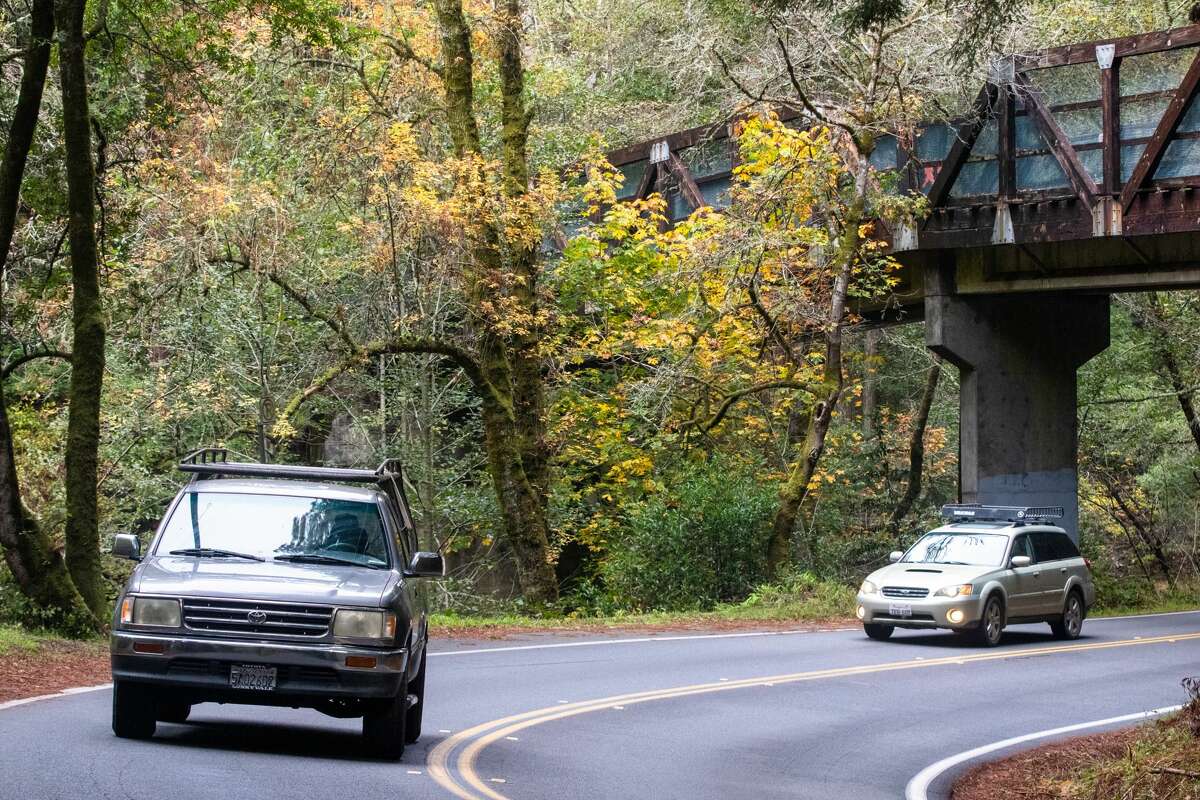 Fall colors will peak on November 18, 2021 along Sir Francis Drake Boulevard in Samuel P. Taylor State Park in West Marin.