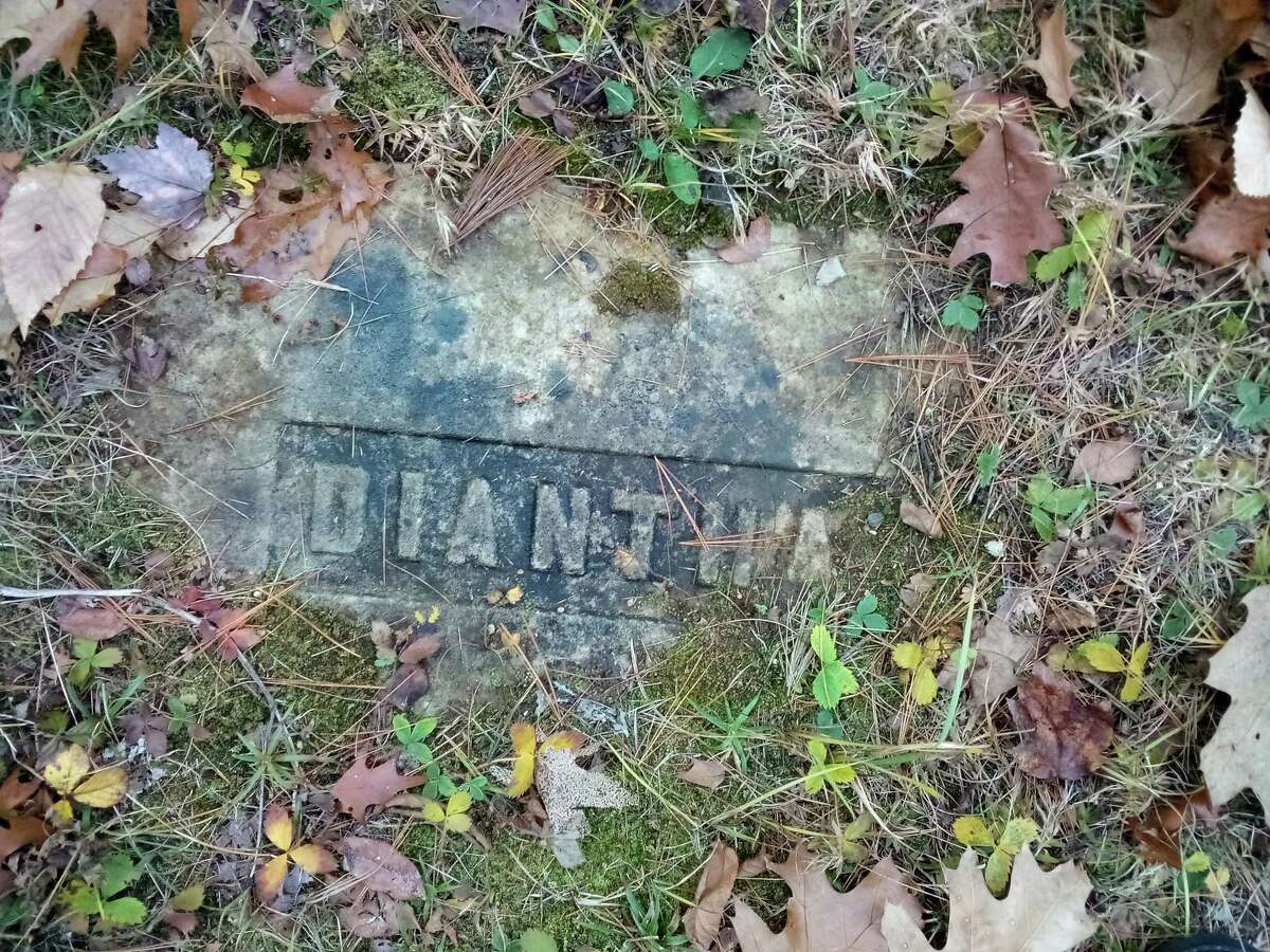 The Danbury Quarter Road cemetery, one of the town's oldest burial sites near Winchester Center, is home to the grave of Diantha Simons, who died in 1857.