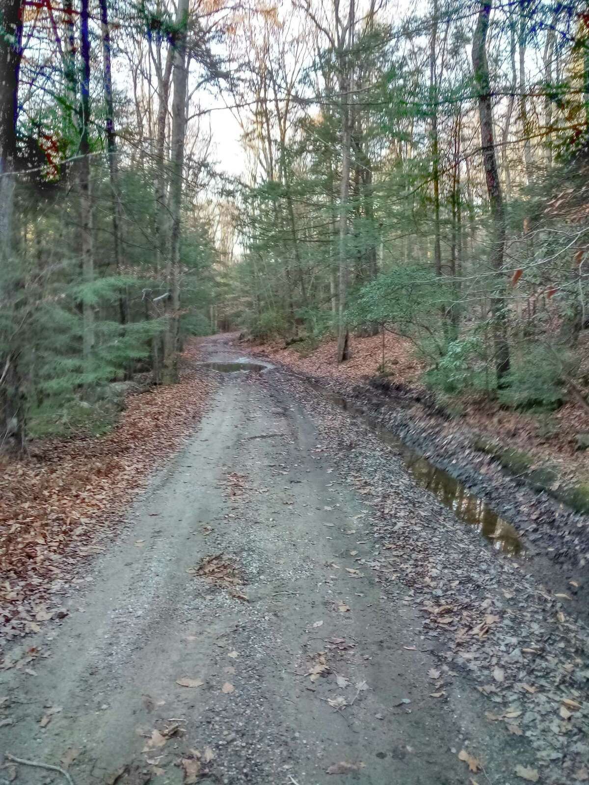 The Danbury Quarter Road cemetery, one of the town's oldest burial sites near Winchester Center, inaccessible, mostly because of the condition of the dirt road, filled with potholes, standing water and deep ruts, as well as steep inclines. Mayor Todd Arcelaschi wants to find a way to record who is buried there, clean up the one-acre property and possibly repair some of the many broken headstones.