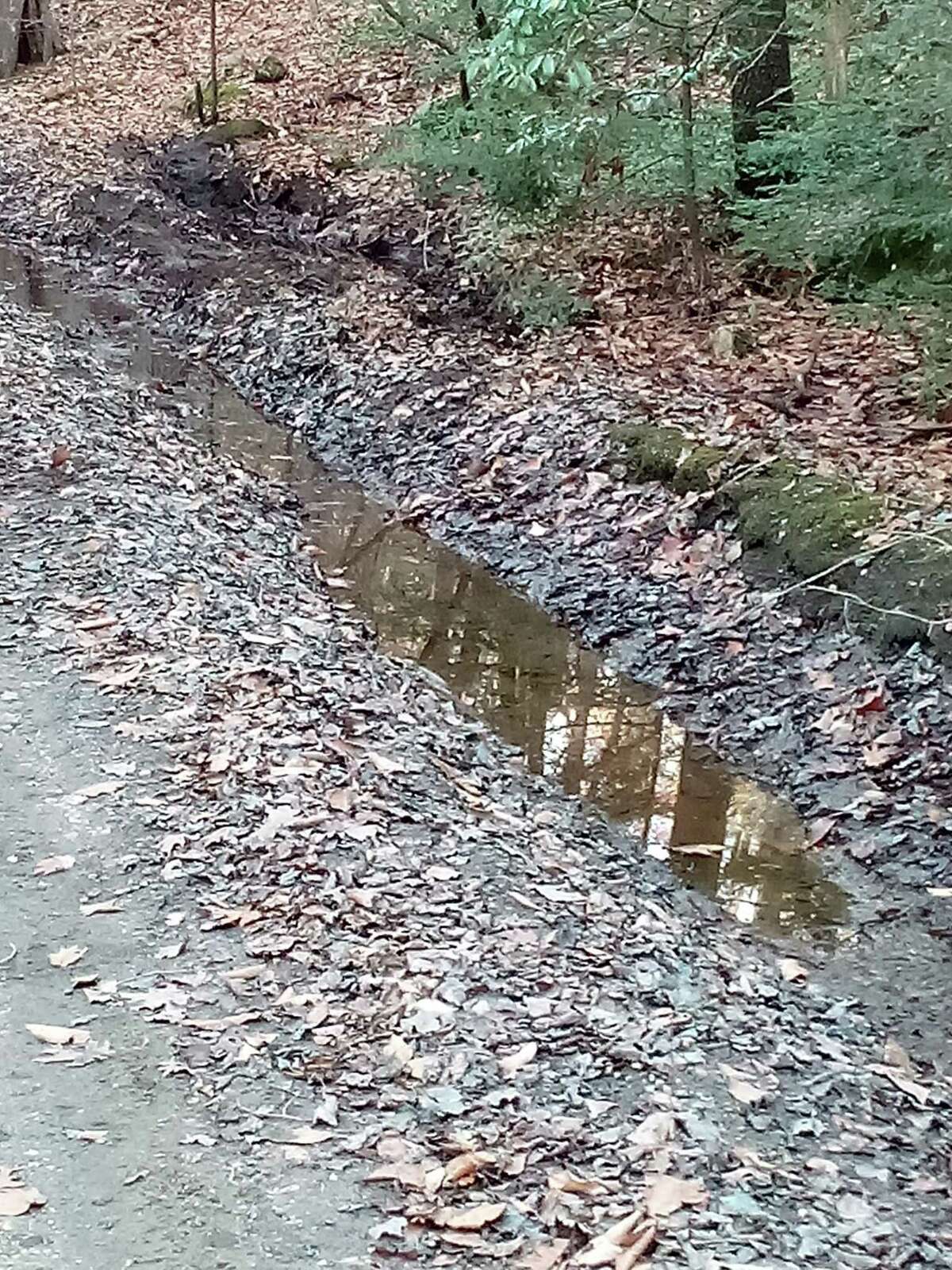 The Danbury Quarter Road cemetery, one of the town's oldest burial sites near Winchester Center, inaccessible, mostly because of the condition of the dirt road, filled with potholes, standing water and deep ruts, as well as steep inclines. Mayor Todd Arcelaschi wants to find a way to record who is buried there, clean up the one-acre property and possibly repair some of the many broken headstones.