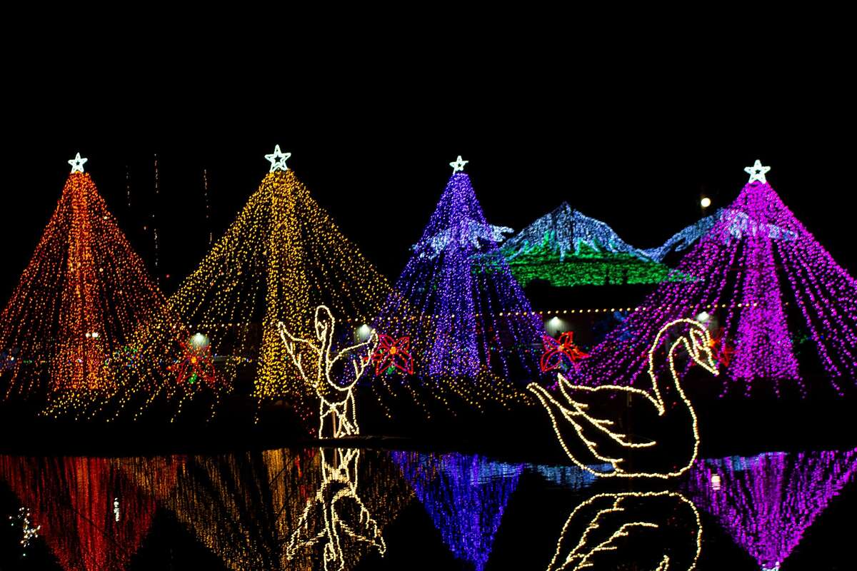 Elemental Seattle Christmas Lights 2022 Your Guide To The Best Holiday Light Displays Around Seattle