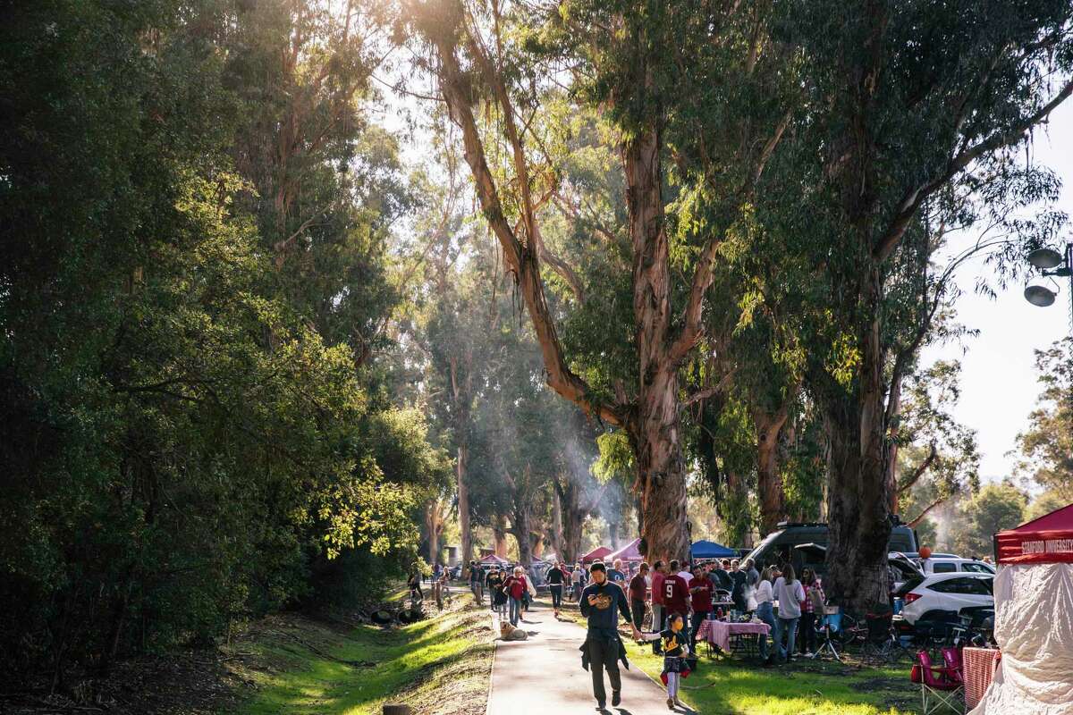 Fans tailgate in the Stanford Stadium eucalyptus grove before the annual Big Game between the California Golden Bears and Stanford Cardinals on Saturday. Last year, the game was played at UC Berkeley with no fans present.