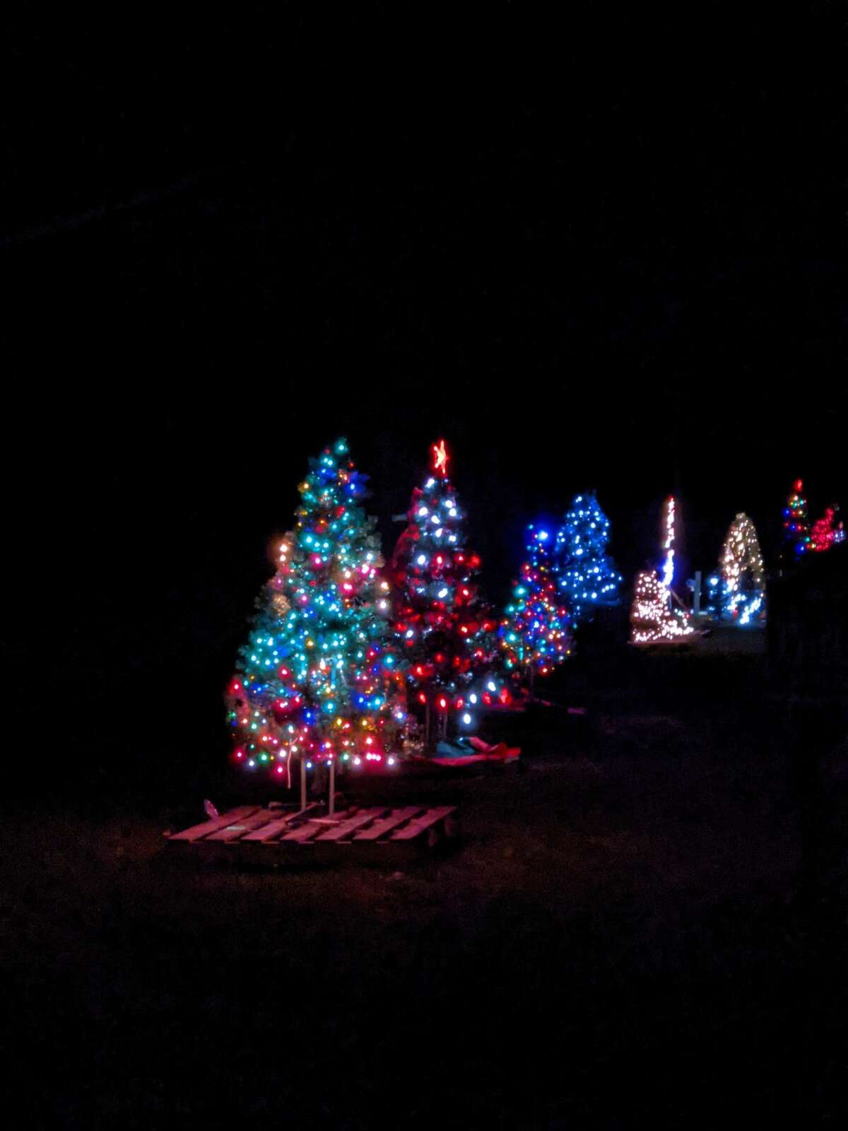 Sanford Christmas Parade 2022 Trees Lit Ahead Of Dec. 3 Sanford Shines Event