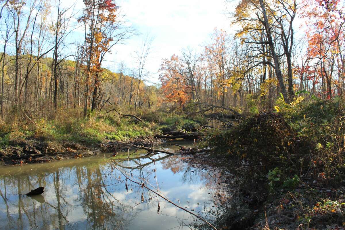 The Lewis A. Swyer Preserve in Stuyvesant, Columbia County is an easy jaunt for the young and older members in your family.