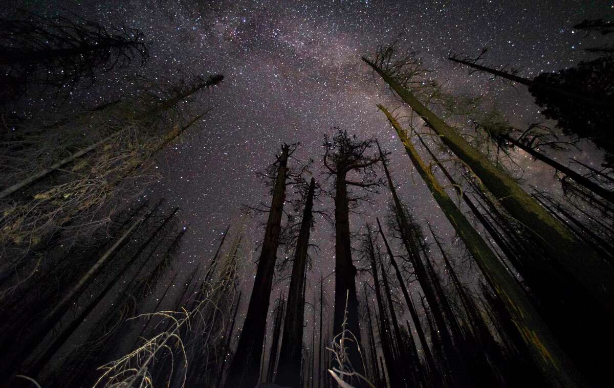 Three giant sequoias killed in the Pier Fire of 2017 (center) remained standing near Springville in Tulare County in 2019, as seen in this image with the Milky Way visible.