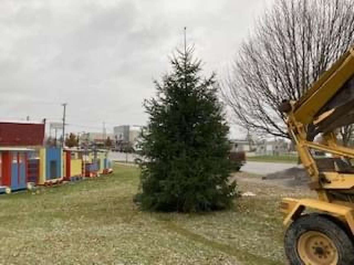 A new live Christmas tree was planted at the Evart Depot this past week in anticipation of the "Miracle on Main Street" Christmas celebration. The tree will be lighted following the parade Dec. 11.