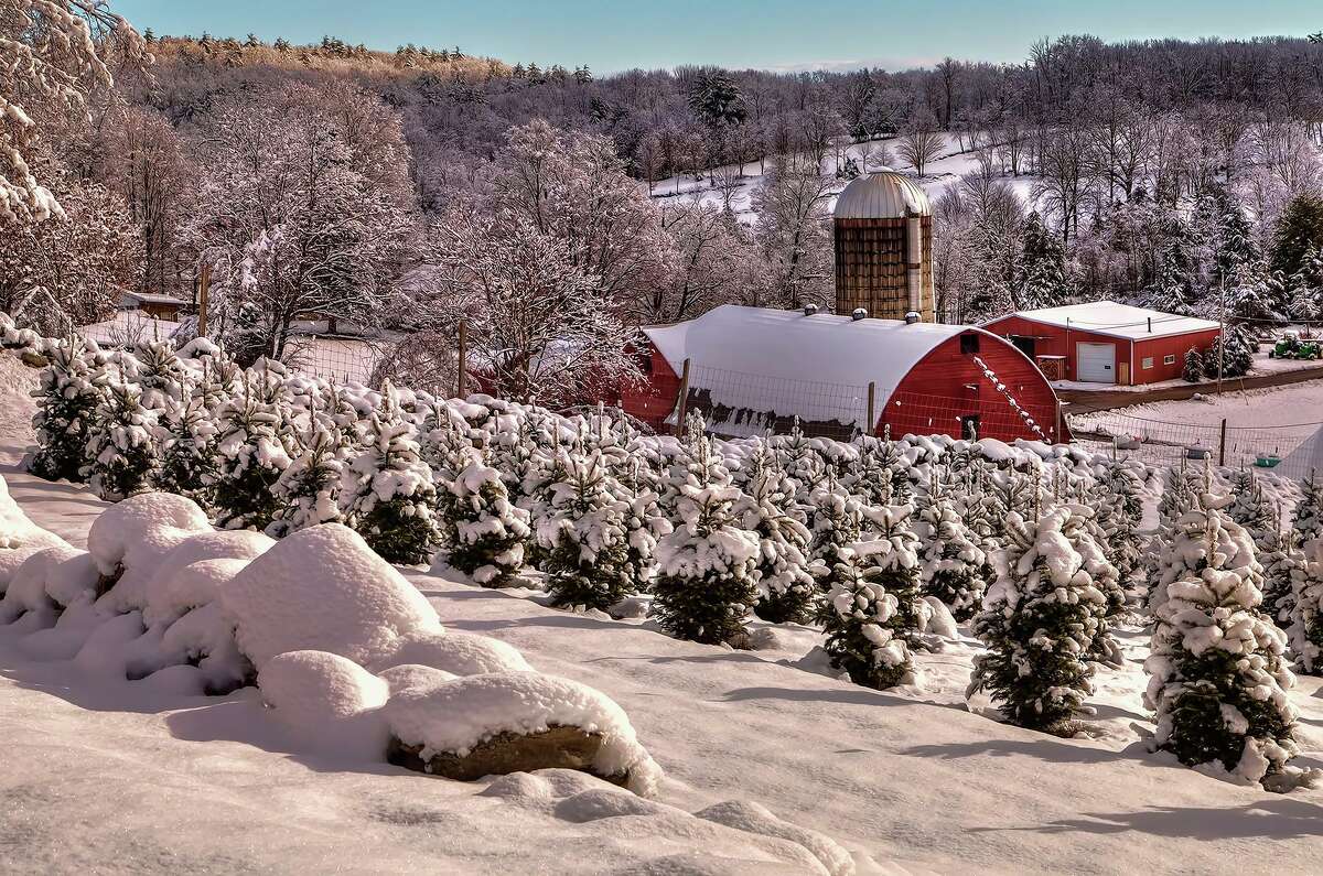 Shop for local maple syrup and handmade soaps after cutting your own tree from Bell's Christmas Trees, a 30-year-old farm in Ulster County.