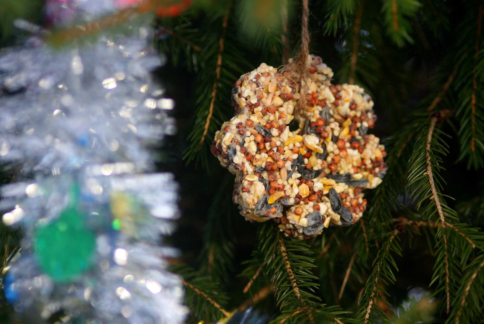 Brookfield Brings Back In Person Tree Lighting Ceremony This Weekend