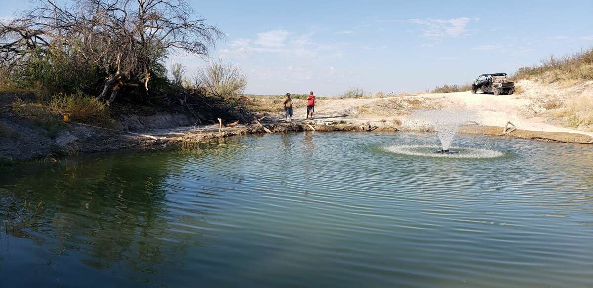 Turtles rehabilitated the pond at the Fuentez family ranch near Marfa, Texas.