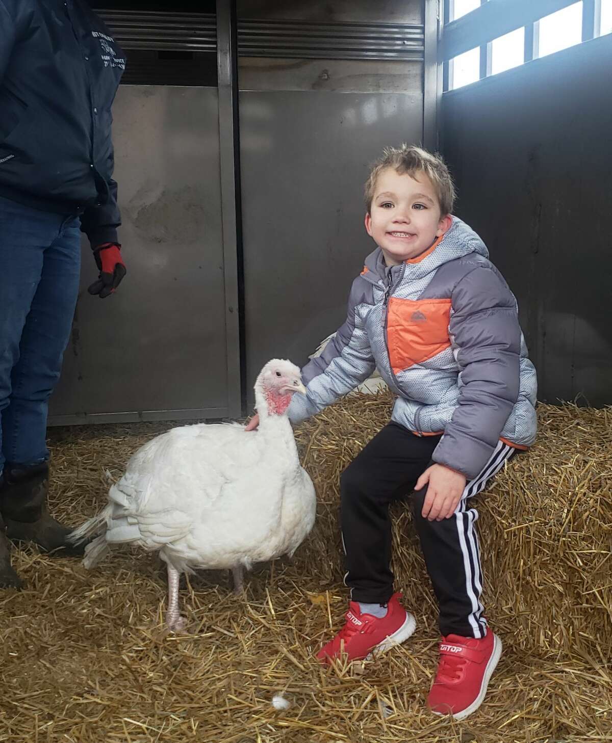 Elaine Bossingham, owner of Country View Farms in Manistee, brought a pair of turkeys to visit the preschoolers of Trinity Lutheran School on Thursday.