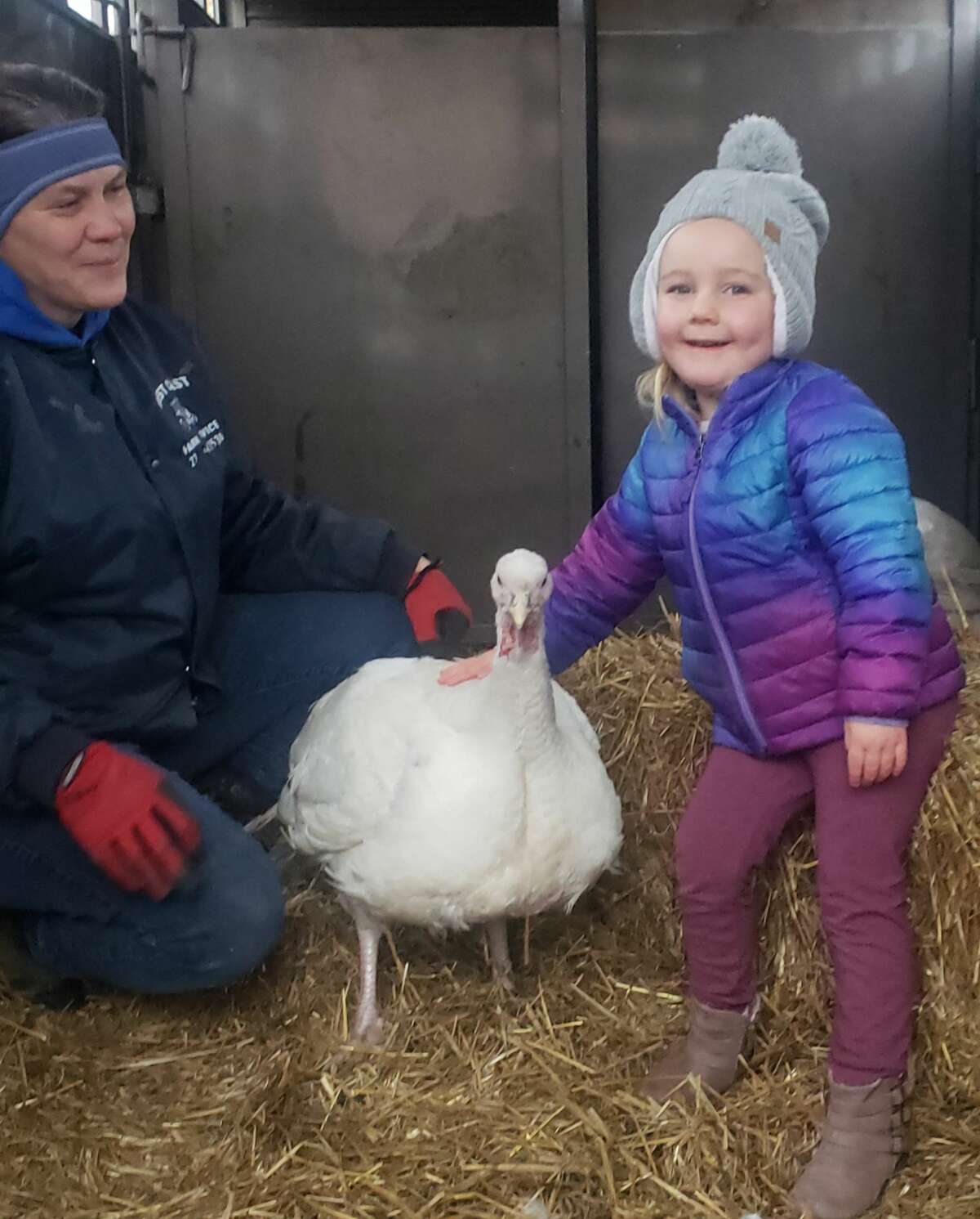 Elaine Bossingham, owner of Country View Farms in Manistee, brought a pair of turkeys to visit the preschoolers of Trinity Lutheran School on Thursday.