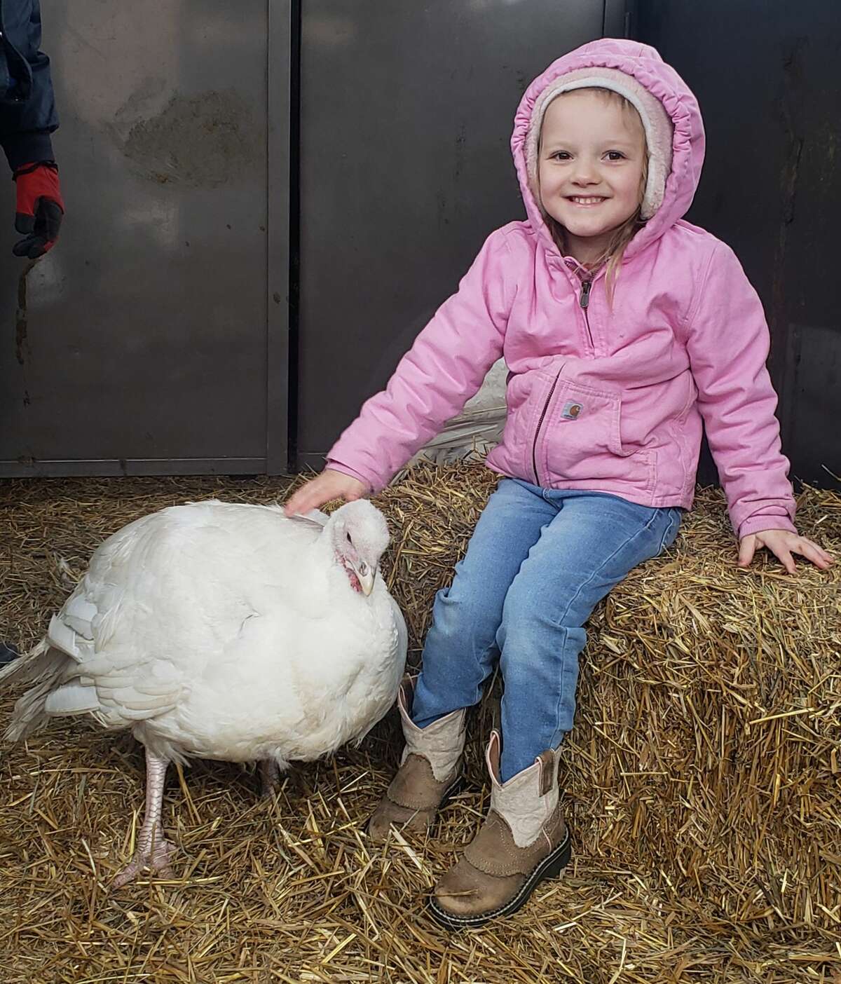 Elaine Bossingham, owner of Country View Farms in Manistee, brought a pair of turkeys to visit the preschoolers of Trinity Lutheran School on Thursday.