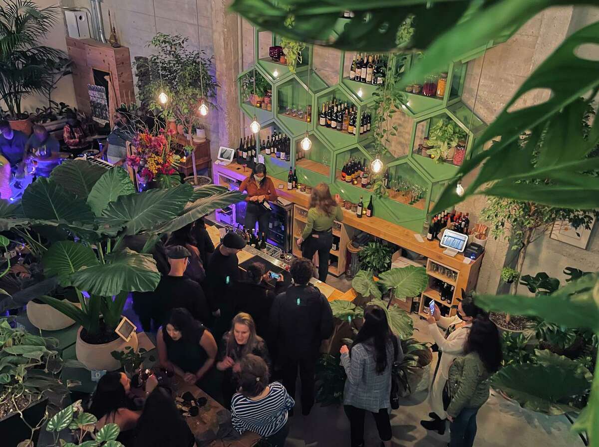 Arcana is a new hybrid plant store and natural wine bar in the Mission.