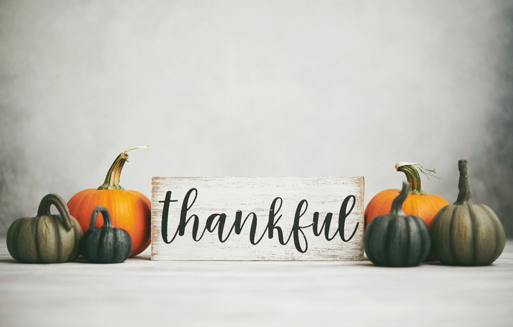 Finding our gratitude this Thanksgiving - Vimarsana News