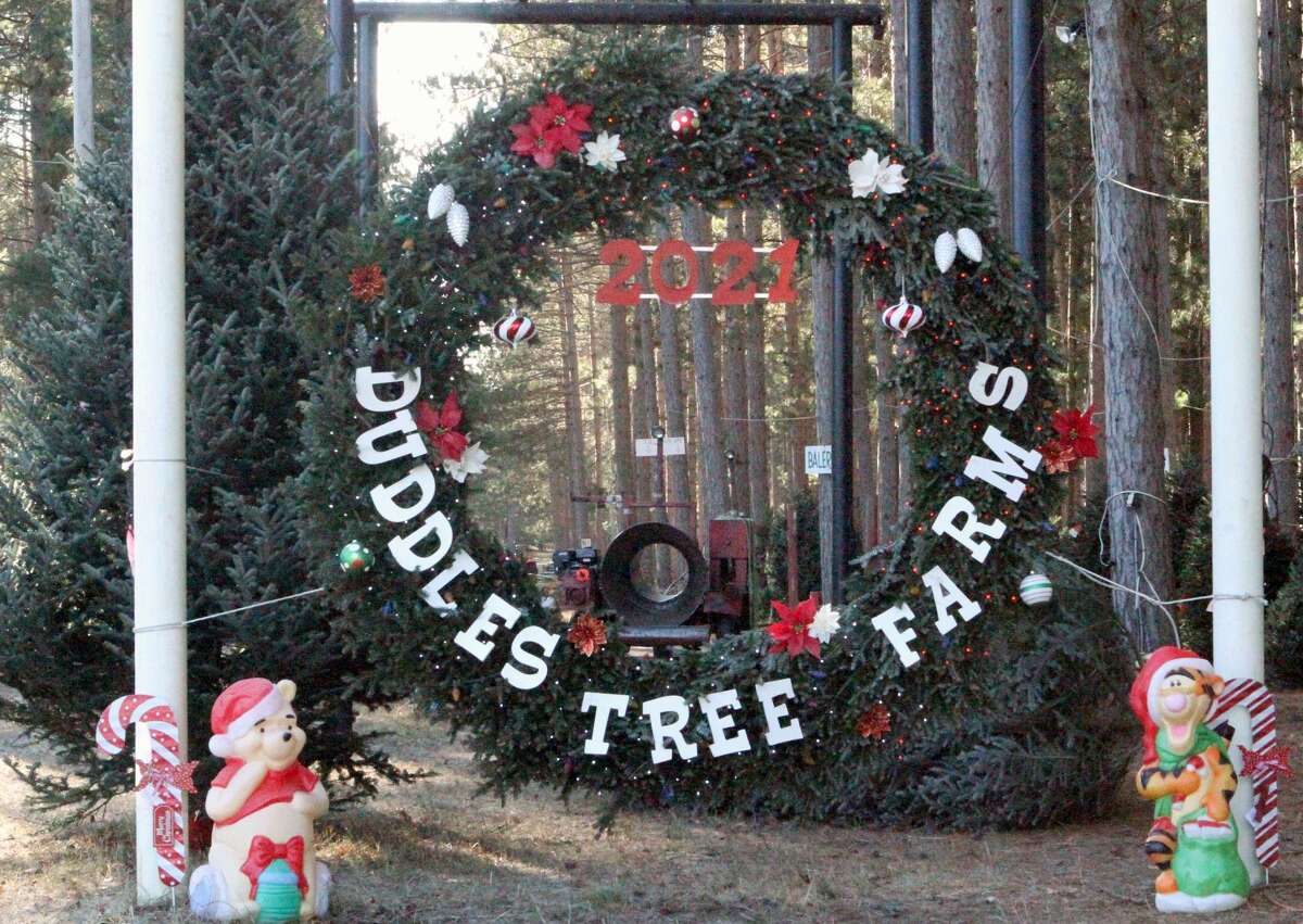 Duddles Tree Farms, in Reed City, is now open for the holiday season.