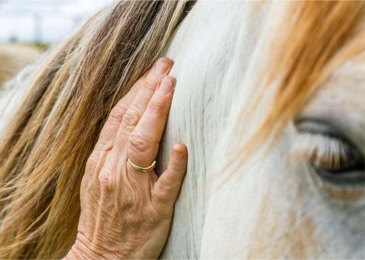From equine to play: 10 nontraditional therapies Often nontraditional therapy is referred to as alternative or complementary medicine. This type of therapy is not intended as a replacement for traditional therapies but rather is meant to be used in conjunction with them. These therapies can enhance the benefits of traditional therapy. Whether modern or based on ancient forms of healing, nontraditional therapies are powerful and can help reduce stress, promote and enhance relaxation, improve mood, and build confidence. Ro compiled a list of 10 nontraditional therapies to treat a variety of health conditions using various scientific and medical studies and websites. These therapies use everything—from horses, to play, to light, to essential oils—in order to help patients overcome phobias, improve balance, and speed up healing. Some date back centuries, while others found their footing in the 20th century. One was thought of as a parlor trick, an early form of entertainment, while another uses play to uncover repressed trauma. Still another uses pressure points in the body to heal. Keep reading to learn more about 10 nontraditional therapies and how they can benefit you.