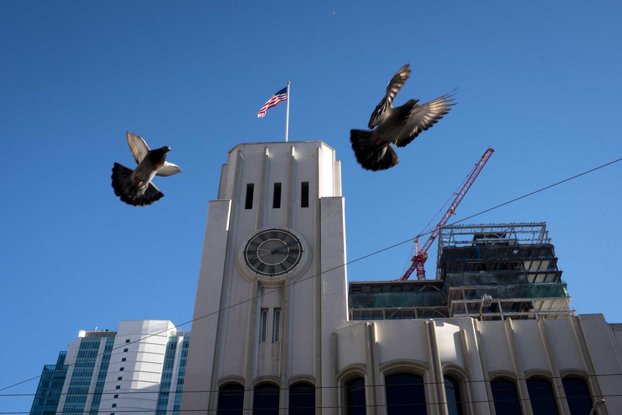 California organizations awarded grants by the Hearst Foundations