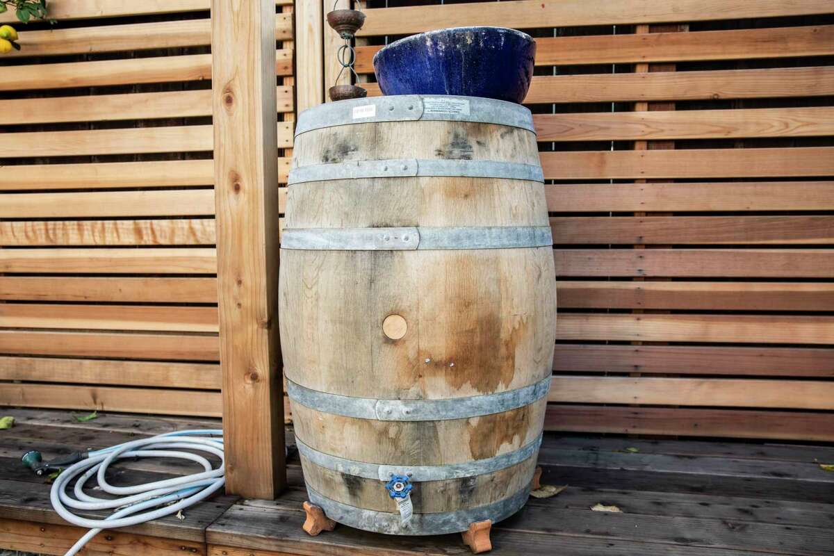 A wooden barrel is part of a rainwater catchment system in Zan Sterling’s garden.