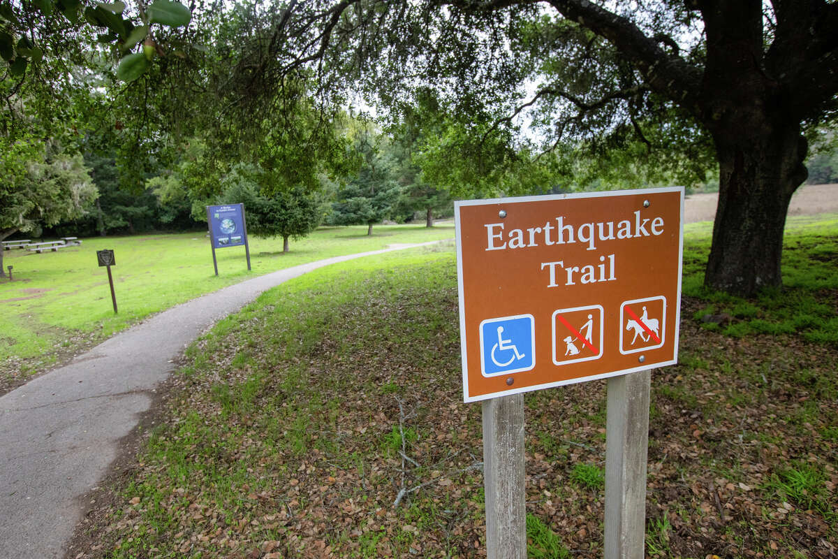 The Earthquake Trail inside Point Reyes National Seashore in Point Reyes Station, Calif., on Nov. 18, 2021.