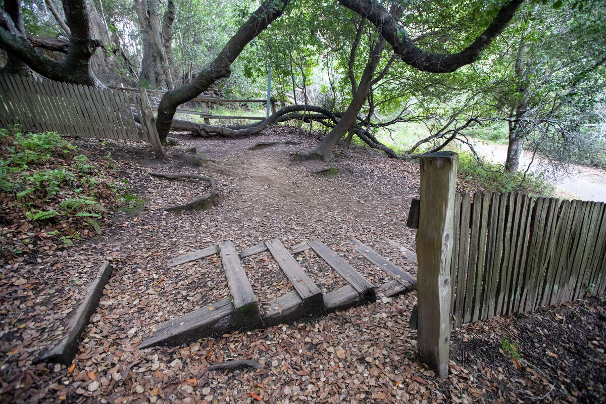 Two sections of a fence were split 16 feet apart during the 1906 earthquake. Today, visitors to the Earthquake Trail inside Point Reyes National Seashore can see how far the two fences moved from each other on the San Andreas fault line.