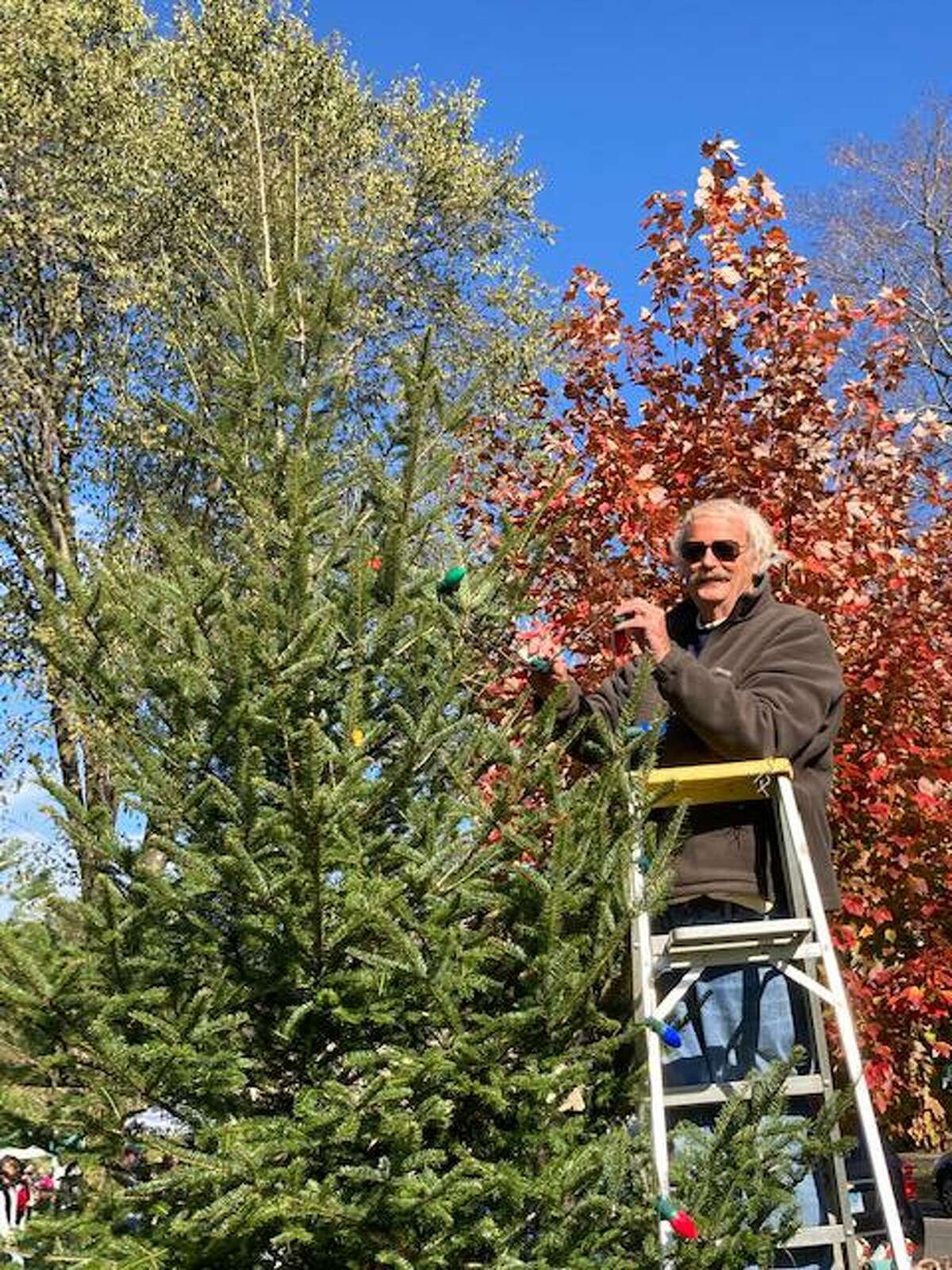 Setting up a Christmas tree