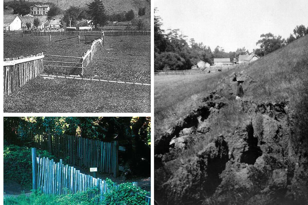 Top left, a fence near Bolinas offset by the 1906 earthquake and, bottom left, a reconstruction of a fence offset along the Earthquake Trail in the park. Right, earth torn open along the San Andreas Fault in the Olema Valley during the 1906 earthquake.