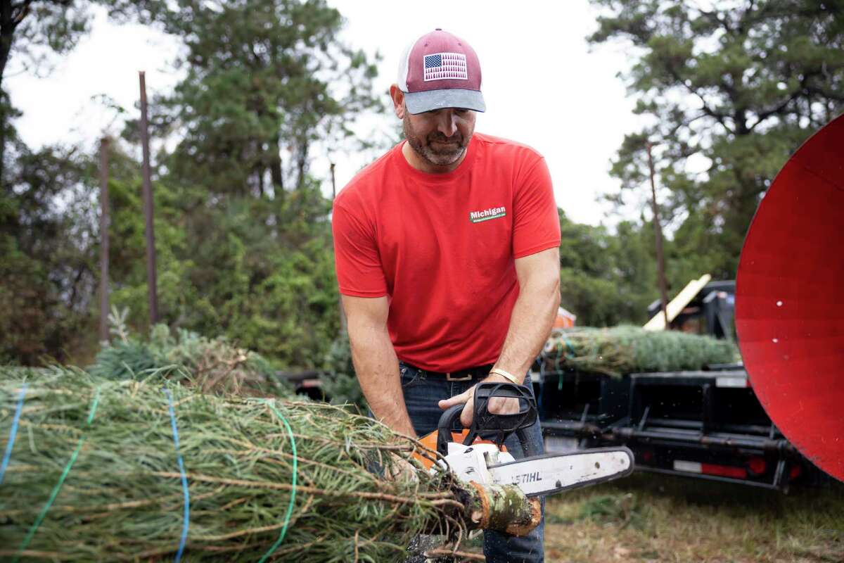 Matt Vandekerkhof, part-owner of Michigan Christmas Trees LLC, packages a concolor fir at the lot location off FM 2854 in Conroe, Wednesday, Dec. 2, 2020. Vandekerkhof has been selling trees in the Houston area for the last 10 years. Horticulture expert Michael Potter gives tips for buying and caring for a real Christmas tree.