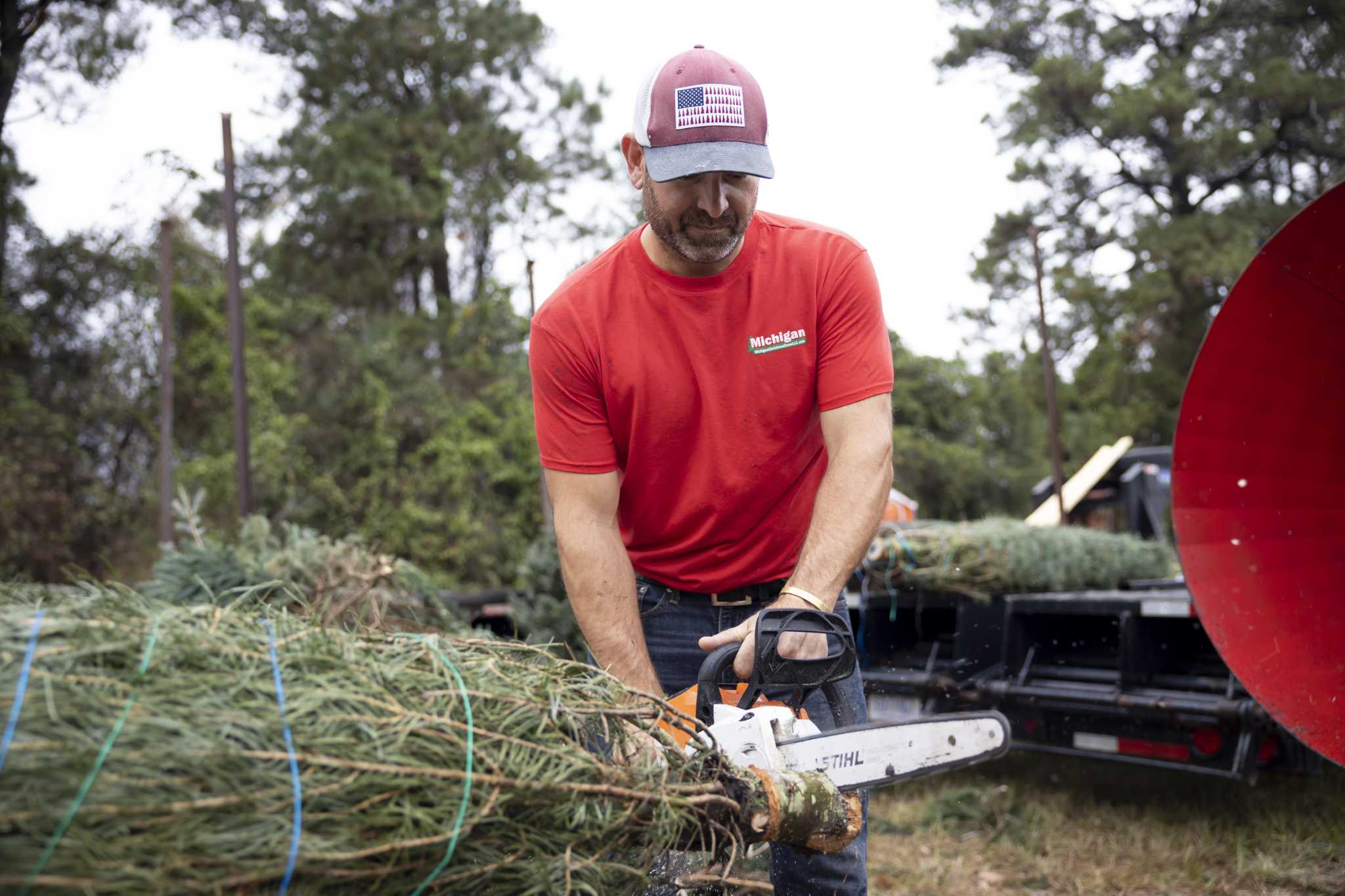 Michael Potter: Tips for picking and caring for a real Christmas tree - Vimarsana News