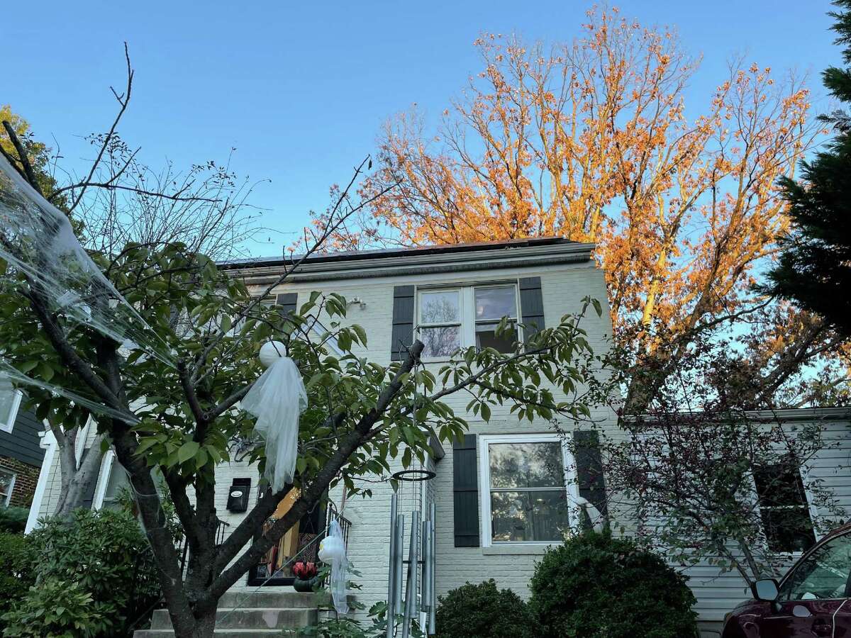 A dead oak tree stands at the home of Jason and Aga Jones in Takoma Park, Md., on October 19, 2021 in Takoma Park, Maryland.