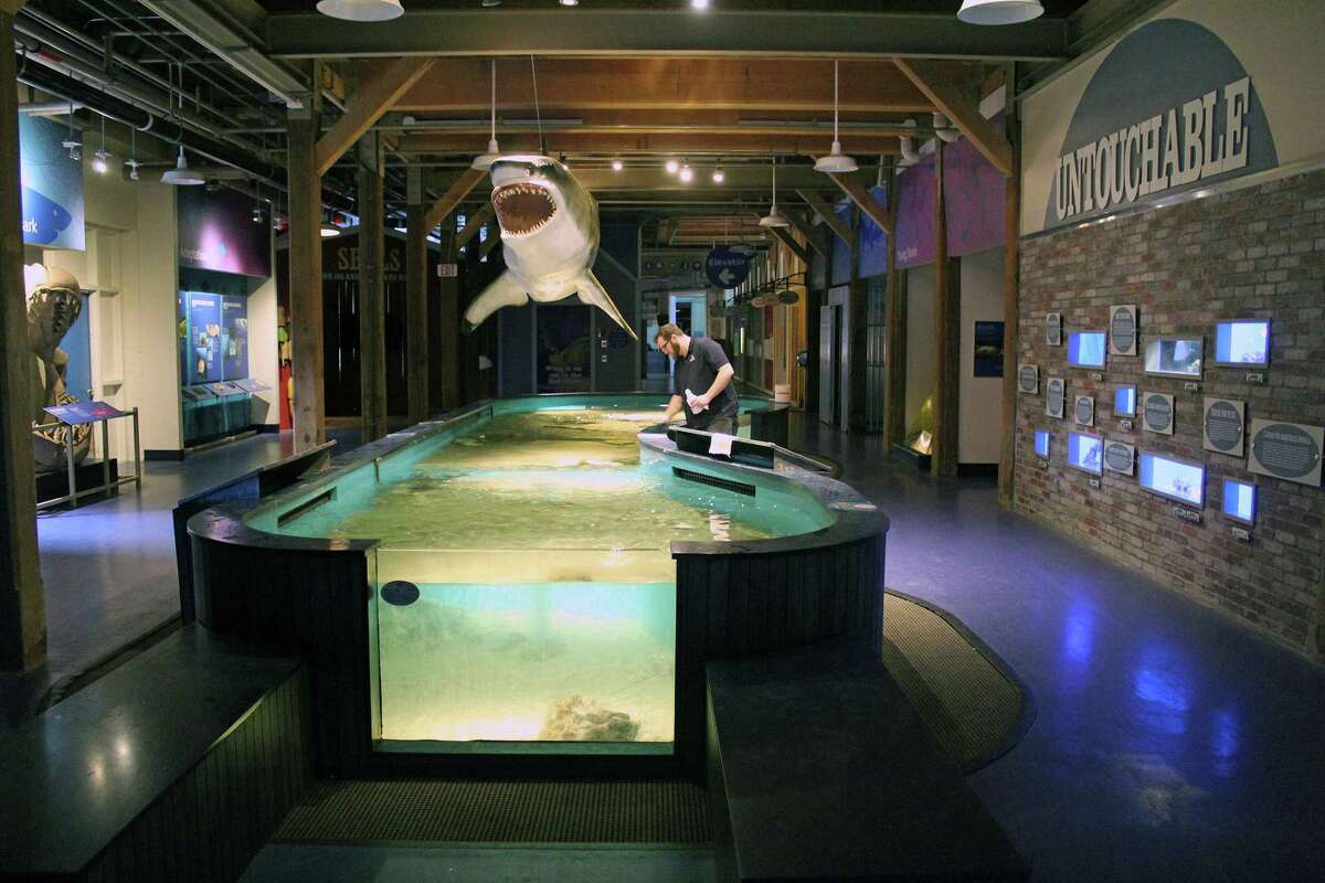 With a donation, the Norwalk aquarium is asking the public to name its new sandbar shark exhibit, which opens Friday.