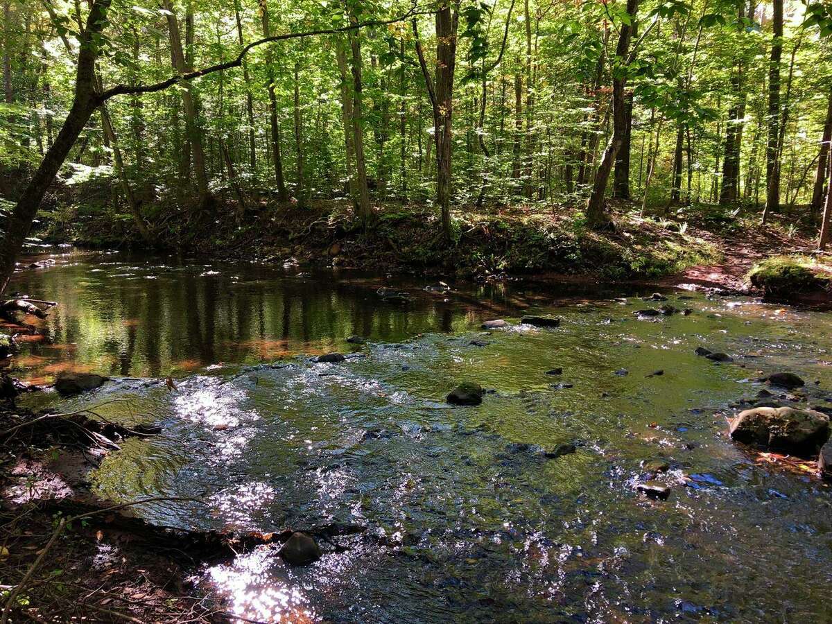 Hiking column Tyler Mill Preserve boasts variety and challenges over