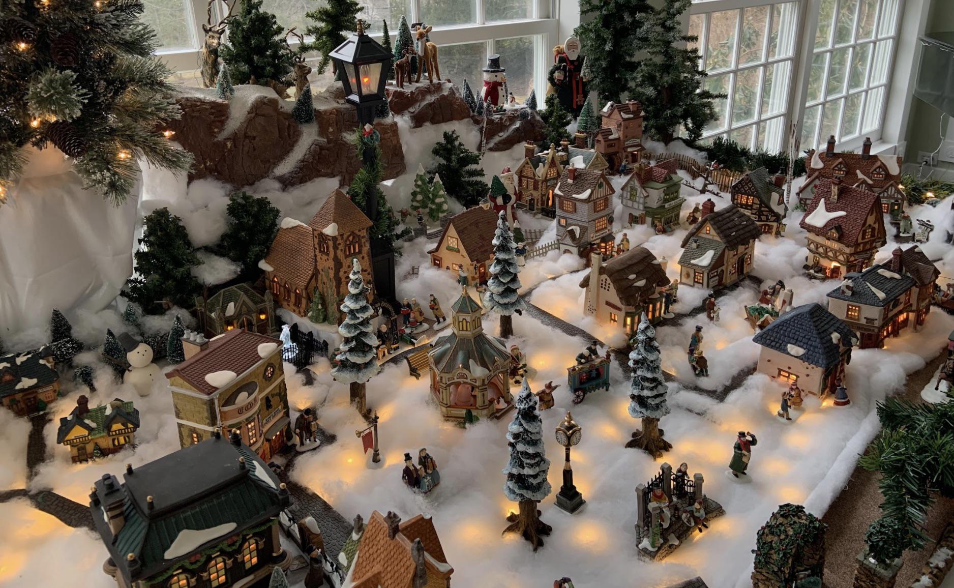 Washington: Judy Black Memorial Park, Gardens presents holiday exhibits - Vimarsana News