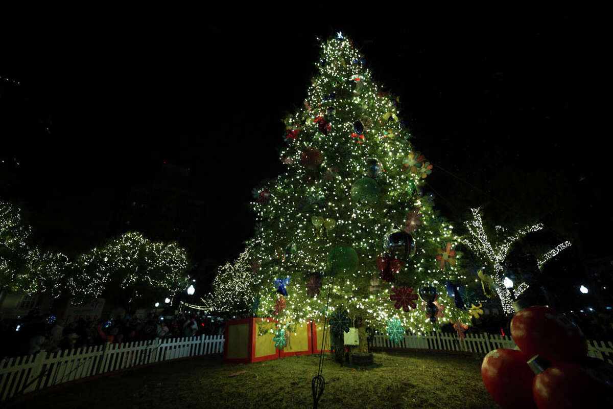 H-E-B Christmas tree is arriving at Travis Park on Tuesday, November 15.