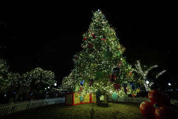 H-E-B's Christmas Tree Still Going Up After Branch Breaks