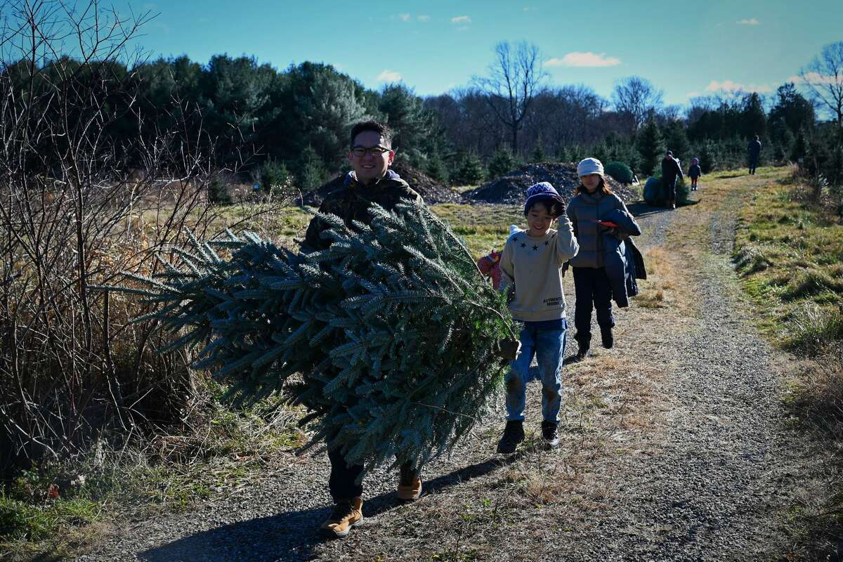 Christmas tree shoppers headed to Jones Family Farm for the harvest-your-own and fresh-cut trees on Nov. 27, 2021. Were you SEEN?