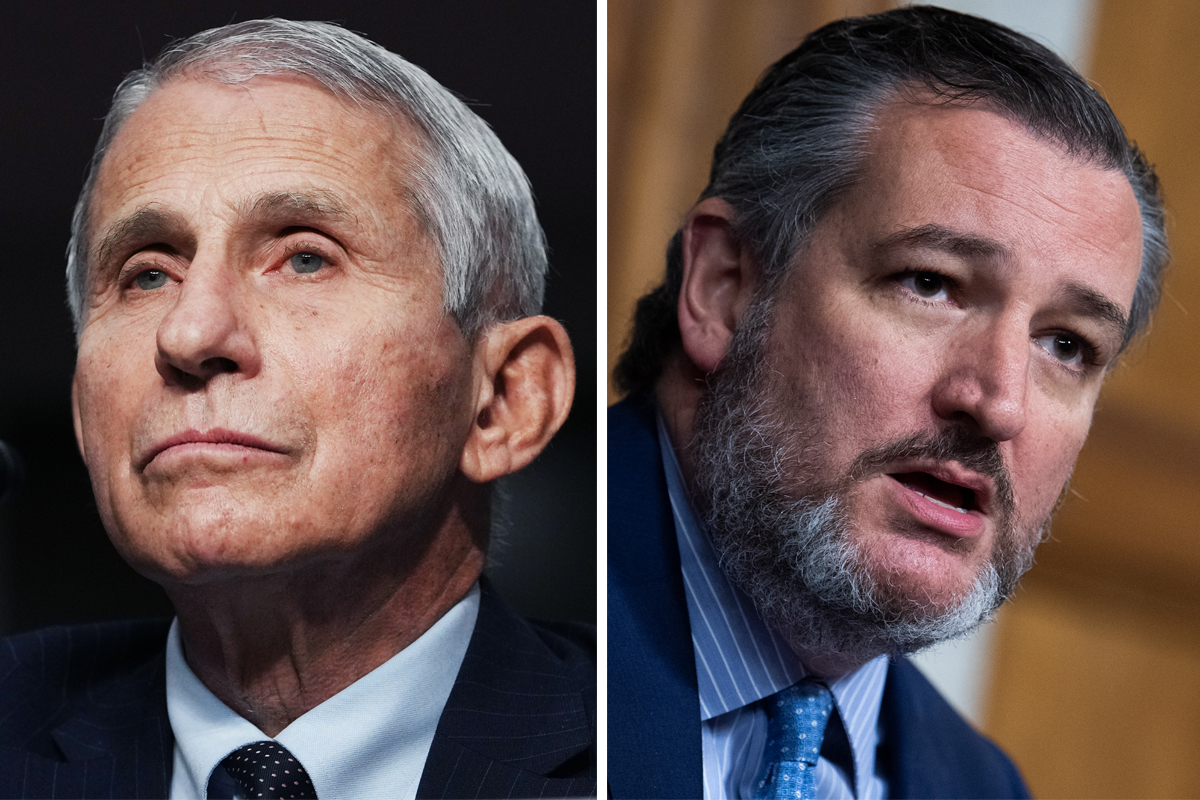 Ted Cruz fires back at Dr. Fauci, calling him America's most dangerous bureaucrat - Vimarsana News