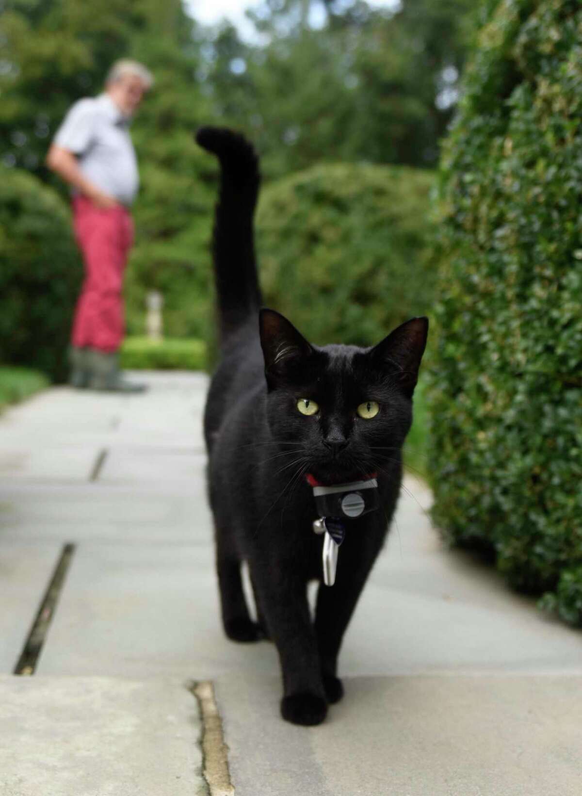 Owner of Greenwich’s Sleepy Cat Farm showcases estate’s garden in talk